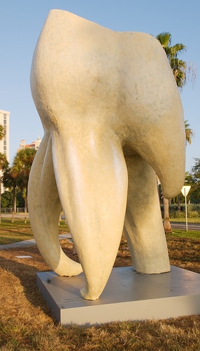 giant statue of a tooth in Florida.