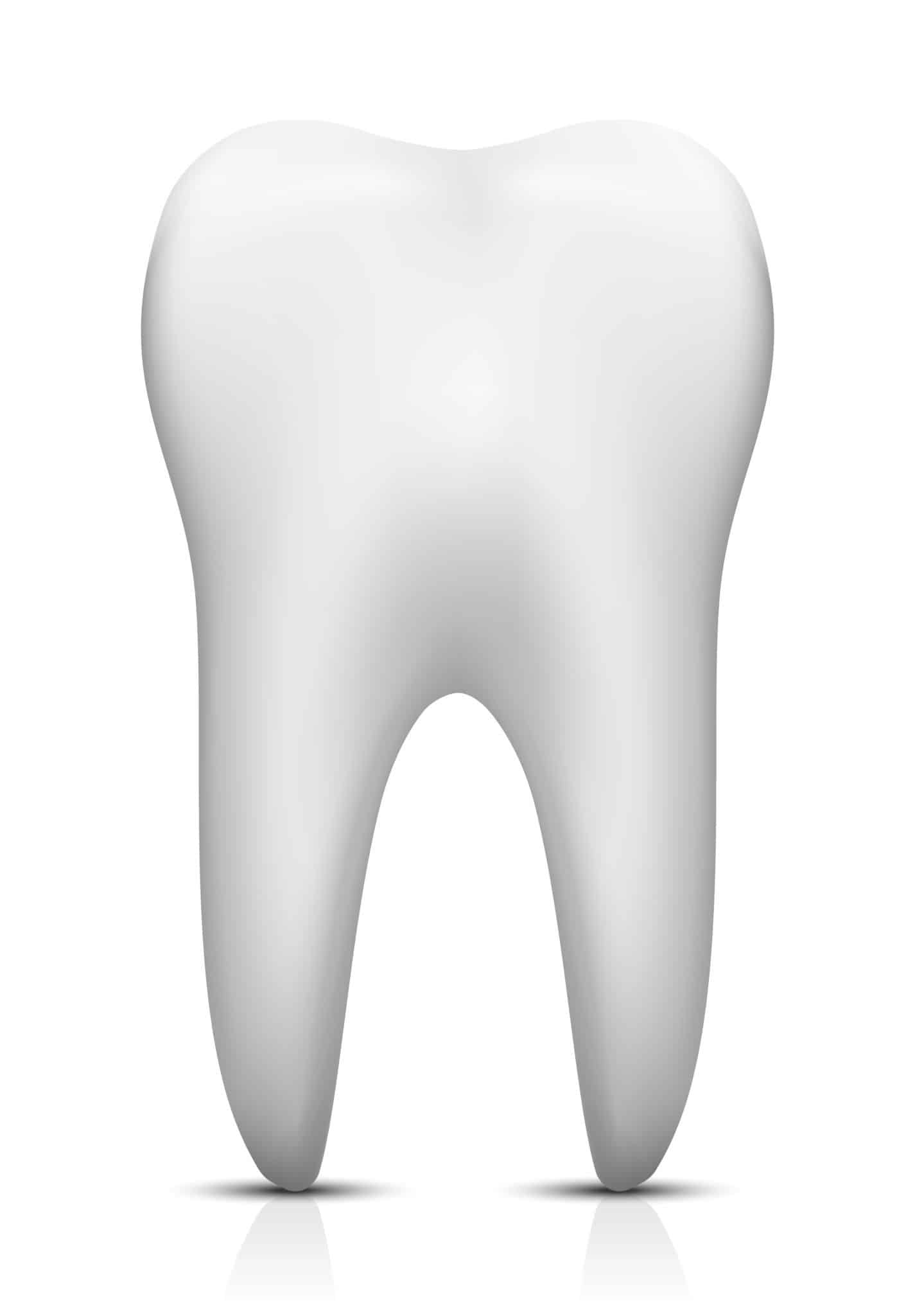 What to Expect when Your Dentist Extracts a Tooth BDG What to Expect when Your Dentist Extracts a Tooth BDG